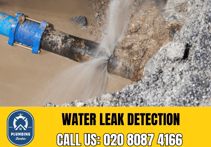 leak detection Harlesden