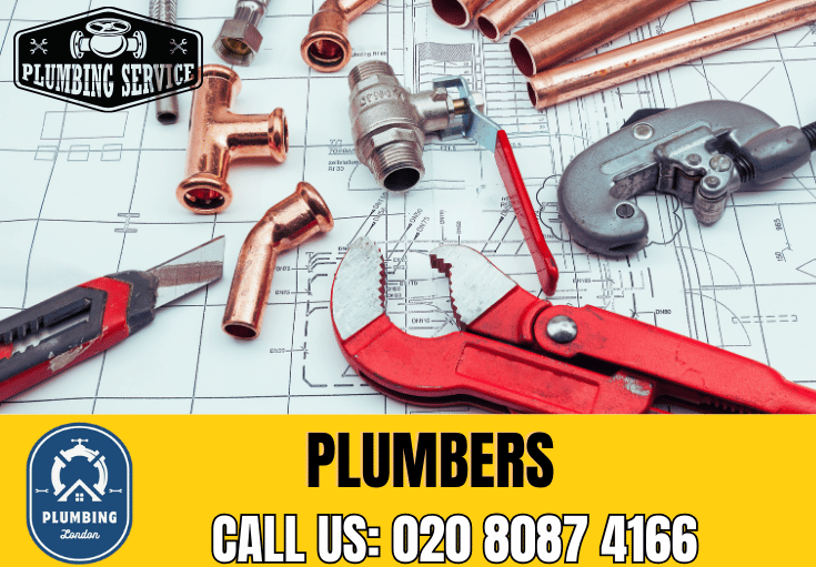  plumber Stonebridge